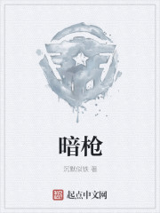 暗枪章节列表