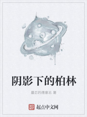 阴影下的柏林章节列表
