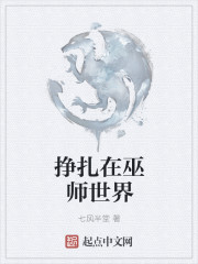 挣扎在巫师世界章节列表