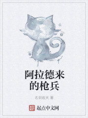 阿拉德来的枪兵章节列表