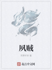 大夙贼章节列表