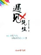 遇见X先生章节列表