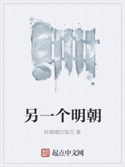 另一个明朝章节列表