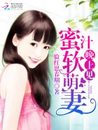 隐婚蜜爱：帝少的心尖宝贝章节列表