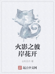 火影之彼岸花开章节列表