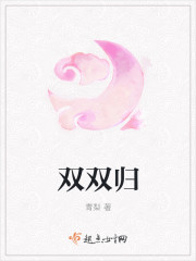 双双归章节列表