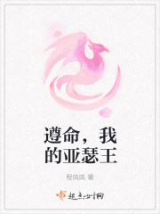 遵命，我的亚瑟王章节列表