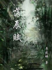 落辰赋章节列表
