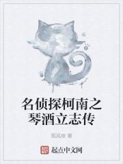 名侦探柯南之琴酒立志传章节列表