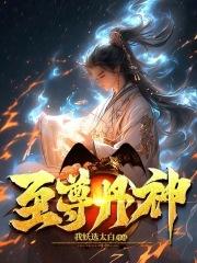 至尊丹神章节列表