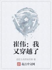 崔伟：我又穿越了章节列表