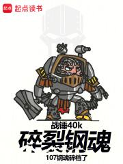 战锤40k：碎裂钢魂章节列表