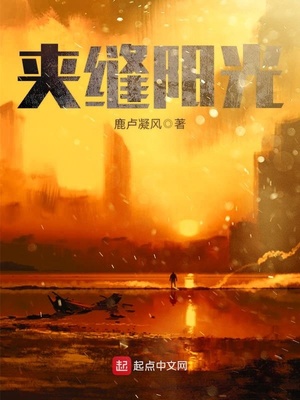 夹缝阳光章节列表