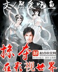 掠夺在影视世界章节列表