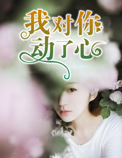 我对你动了心章节列表