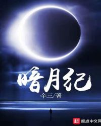 暗月纪章节列表