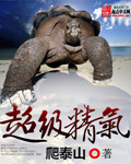 超级精气章节列表