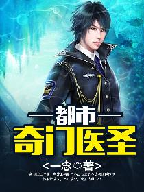 妙医圣手叶皓轩章节列表