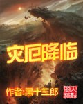 灾厄降临章节列表