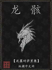 龙骸章节列表