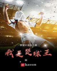 我是楚球王章节列表