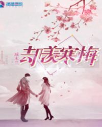 却羡寒梅章节列表