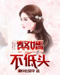 赘婿不低头章节列表