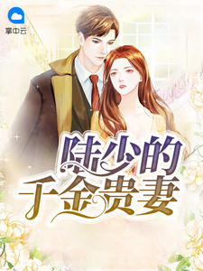 陆少的千金贵妻章节列表