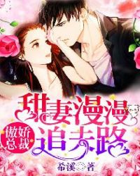 傲娇总裁：甜妻漫漫追夫路章节列表