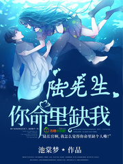 陆先生你命里缺我章节列表