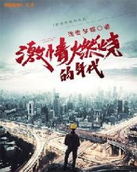 激情燃烧的年代章节列表