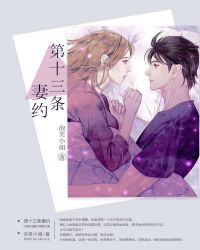 第十三条妻约章节列表