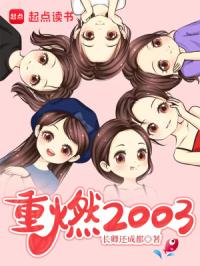 重燃2003章节列表