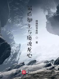 最后御主与魔魂龙心章节列表