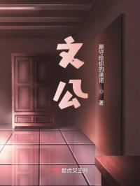 文公章节列表