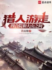 猎人游走四合院和大山之间章节列表