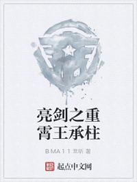 亮剑之重霄王承柱章节列表