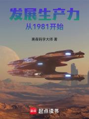 发展生产力从1981开始章节列表