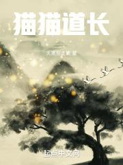猫猫道长章节列表