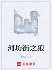 河坊街之狼章节列表