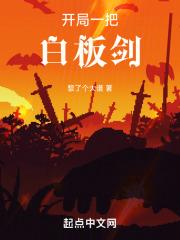 开局一把白板剑章节列表