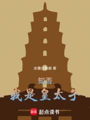 知否：我是皇太子章节列表