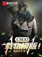 CSGO：载物模版！章节列表