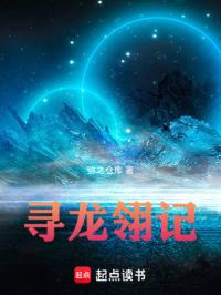 寻龙翎记章节列表