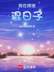 我在榉坂混日子章节列表