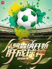从阿森纳开始肝成球神章节列表