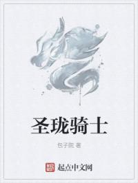 圣珑骑士章节列表