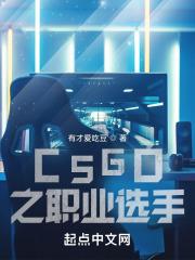 CSGO之职业选手章节列表