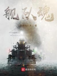 舰队魂章节列表