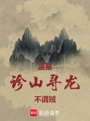 盗墓：诊山寻龙，不谓贼章节列表